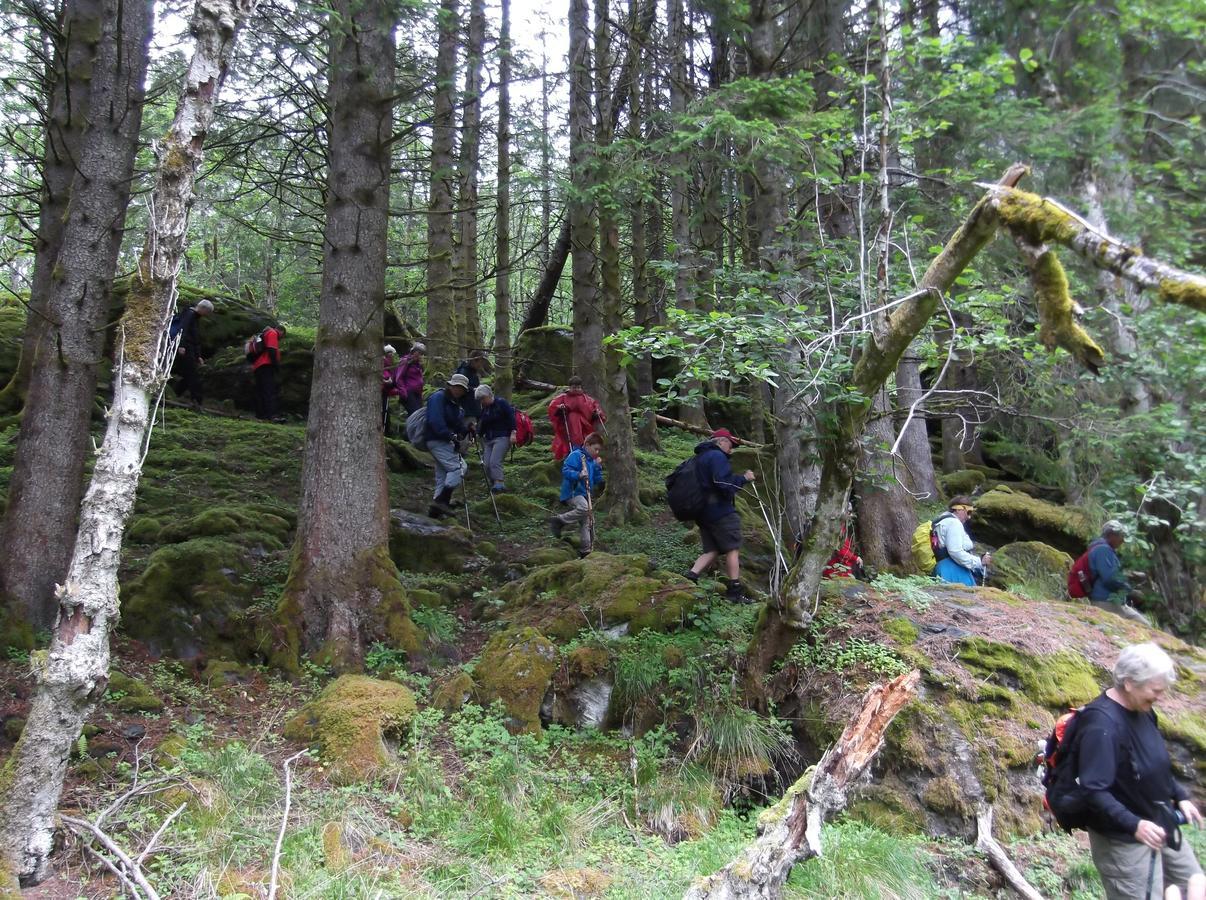Hardanger Basecamp Hostel Osa Bagian luar foto